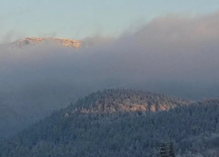 Dom wakacyjny Panorama Beskidu